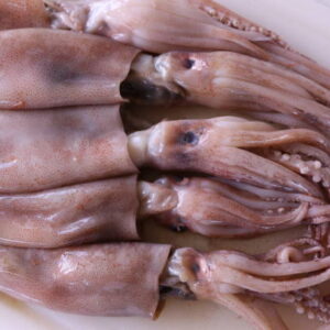Calamares precio/kg